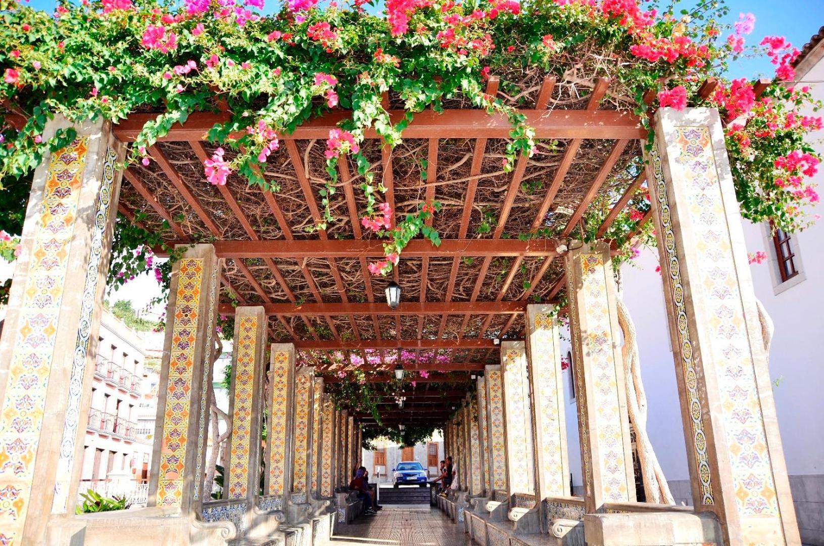 לוס יאנוס דה אריאדנה Casa Finca Avocado מראה חיצוני תמונה